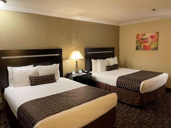 Best Western Plus Pleasanton Inn image 14