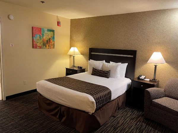 Best Western Plus Pleasanton Inn image 4